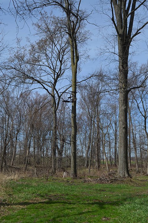 Property photo 162 - REAL ESTATE & PERSONAL PROPERTY AUCTION, 140 Acres offered in 8 Tracts or Combinations in Steuben County